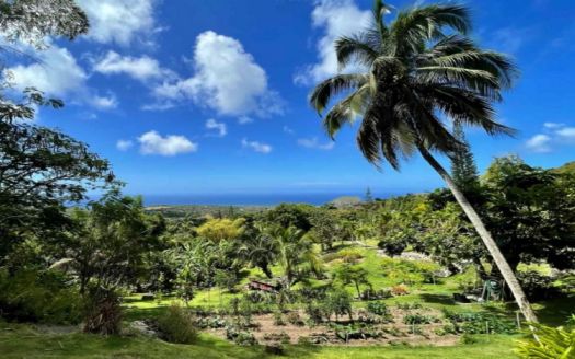 Properties for sale in St Kitts and Nevis